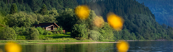 Forest Holidays main image